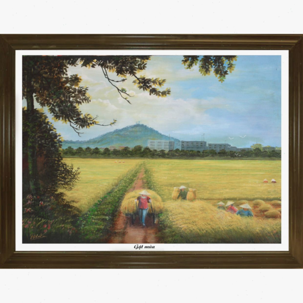 Tranh Sơn Dầu Đồng Quê Gặt Mùa 35x50cm Họa Sĩ Chính Hãng 