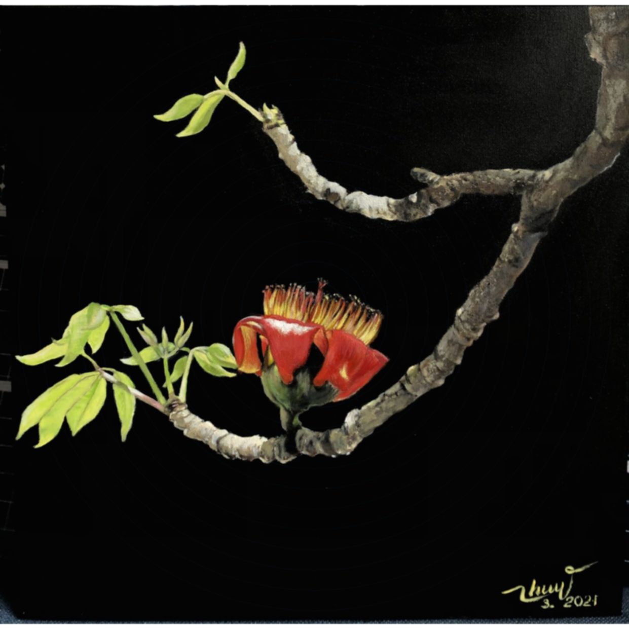 Tranh Thu Thủy Hoa Gạo 50x50cm Canvas Acrylic sang trọng 