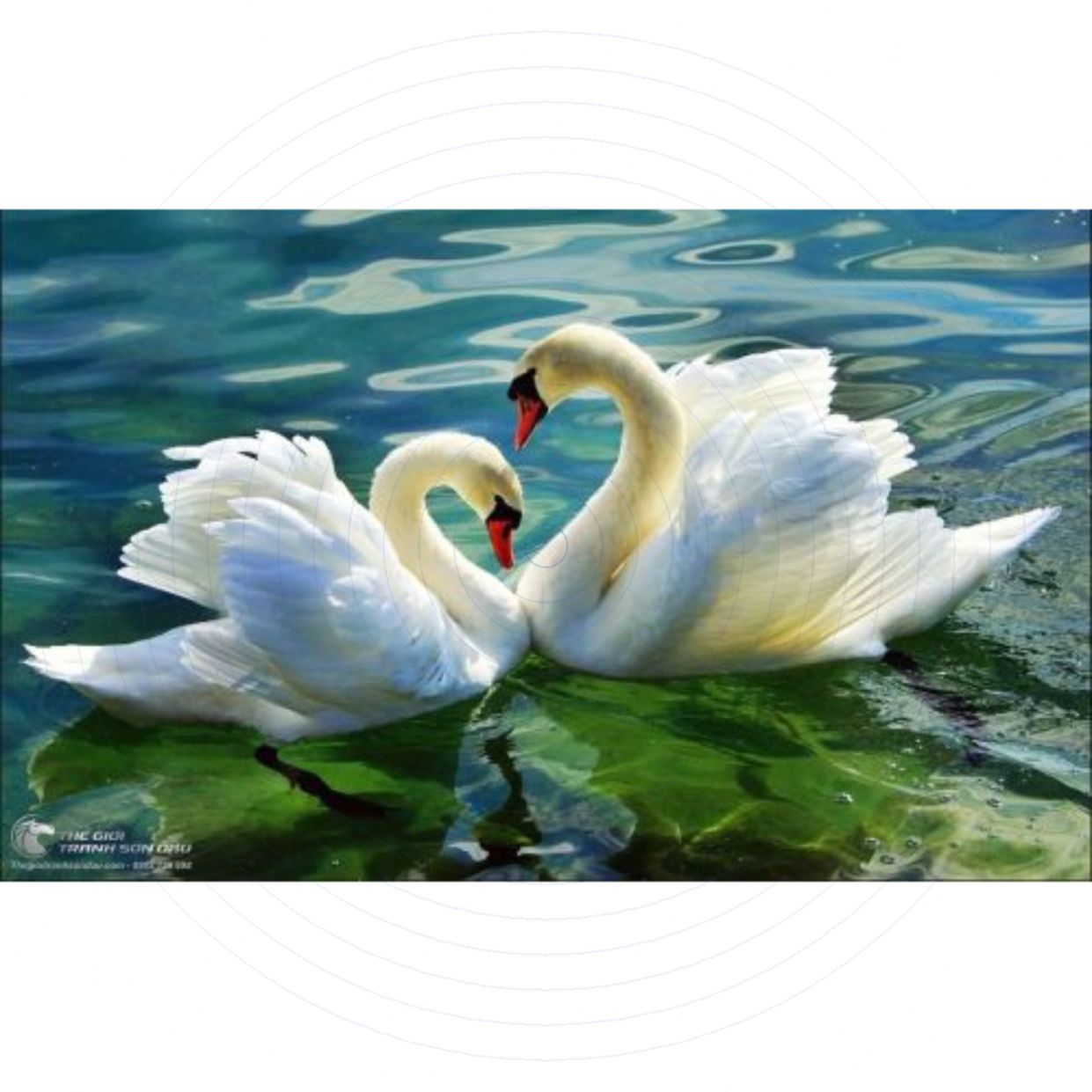 Tranh Thiên Nga Lấp Lánh Sơn Dầu Phòng Khách Sang Trọng 